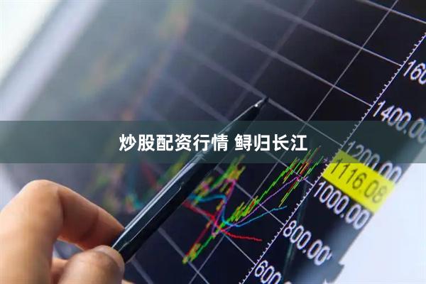 炒股配资行情 鲟归长江
